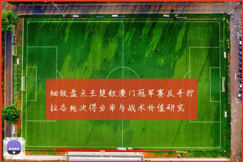 细致盘点王楚钦澳门冠军赛反手拧拉各轮次得分率与战术价值研究