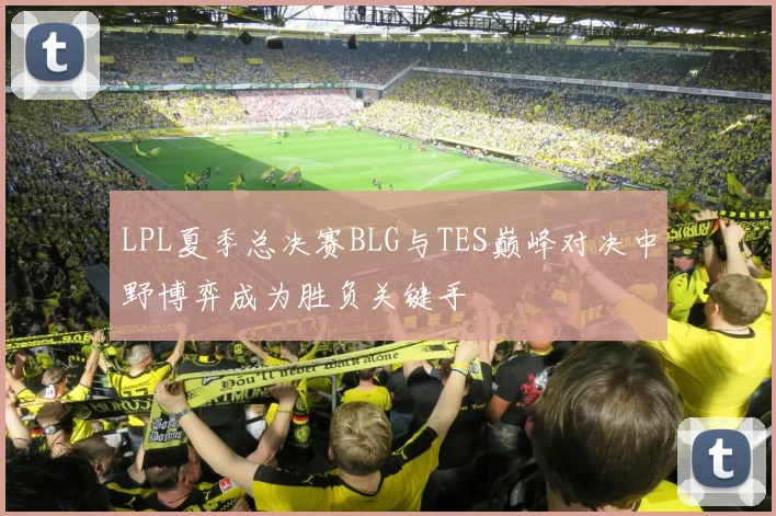 LPL夏季总决赛BLG与TES巅峰对决中野博弈成为胜负关键手